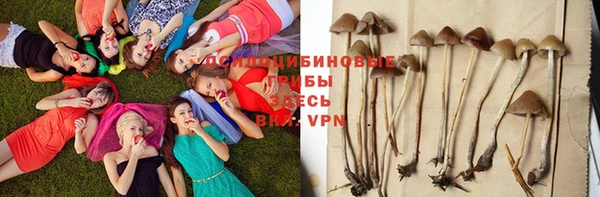 а пвп мука Верхнеуральск